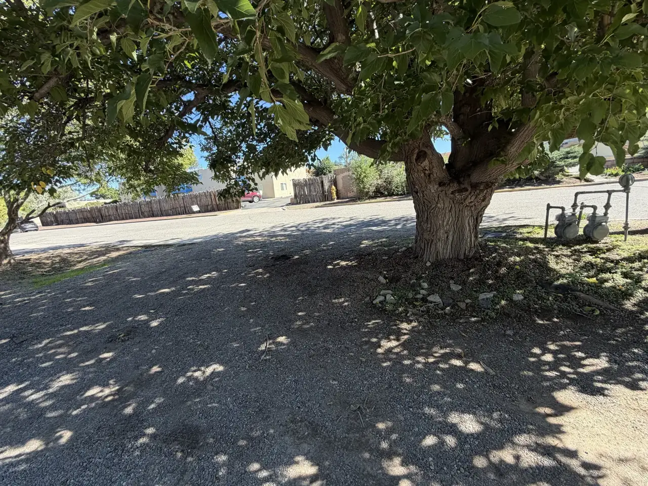 Street parking on Luana St under the big old tree